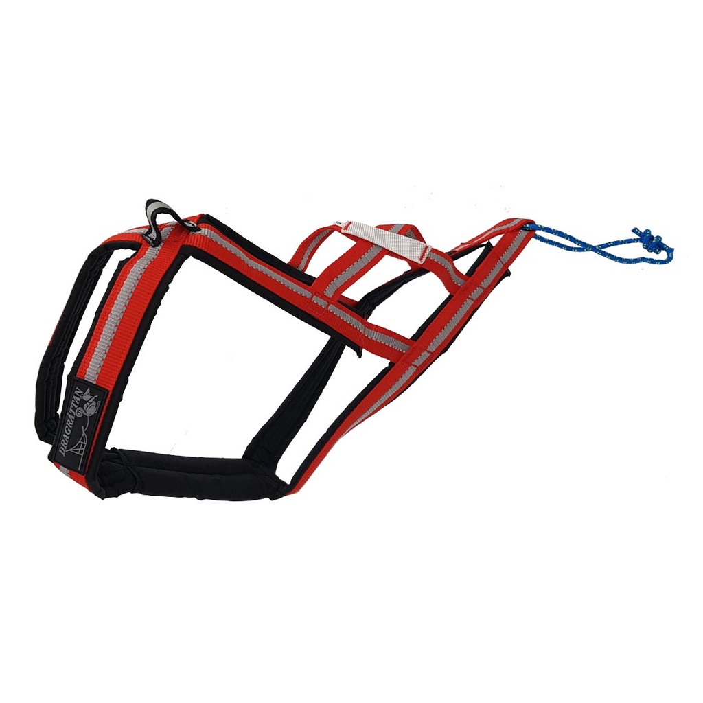 Dragrattan X Harness